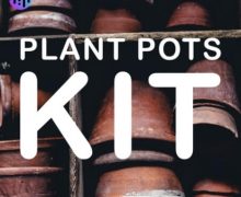 Noiiz Plant Pots Kit [MULTiFORMAT]
