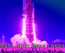Crystal Distortion Crystal D's Bass-Age Bass Loops [WAV]