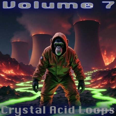 Crystal Distortion Crystal D's Crystal Acid Loops [WAV]
