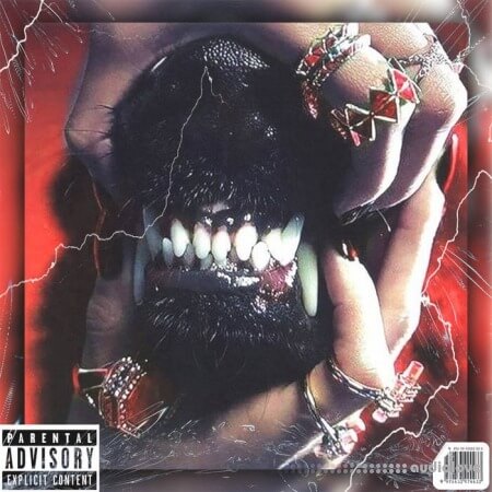 Soul Chemist A$ap Rocky Loop Kit Sample Pack Vintage Dior 50 Cent, Action Bronson, Freddie Gibbs [WAV]