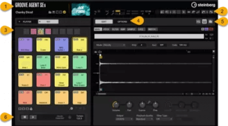 Steinberg Groove Agent SE 6