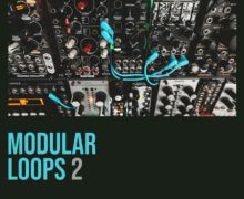 Shed Skin Records Shed Skin Records Modular Loops 2 [WAV]