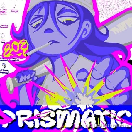 Drayki Prismatic 808 Library [WAV]