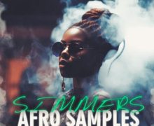 Dik3l Sounds Simmers Vol 3 Afro Samples [WAV, MiDi] 52组R&B/AfroSoul旋律循环+19 MIDI工程