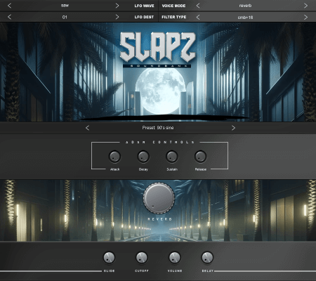 Diamond Loopz Slapz 2 VST RETAiL [WiN, MacOSX]