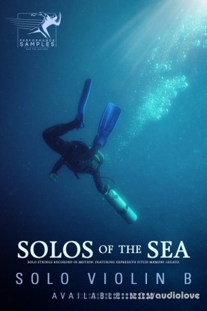 Performance Samples Solos of the Sea Solo Violin B [KONTAKT]