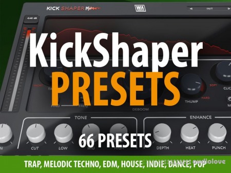 Andi Vax KickShaper Presets 66 Presets [Synth Presets]