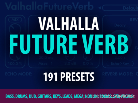 Andi Vax Valhalla Future Verb 191 Presets [Synth Presets]