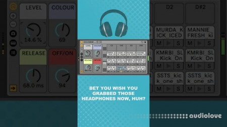 Will Hatton Blank Kick Noise Rack [Synth Presets]