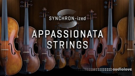 Vienna Symphonic Library Studio Appassionata Strings for Synchron Player [Synth Presets]